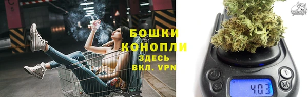 гашик Покровск