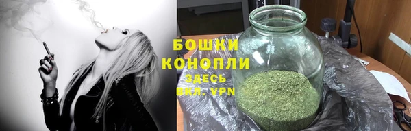 2c-b Пестово