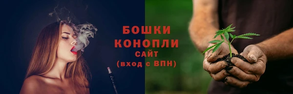 2c-b Пестово