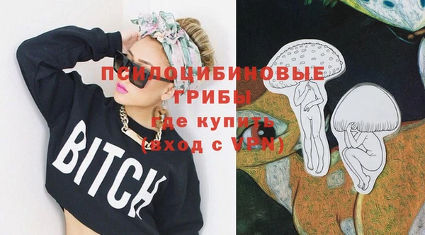 мет Пересвет