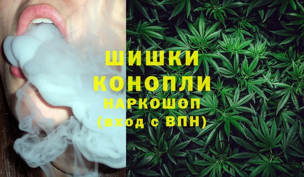 2c-b Пестово