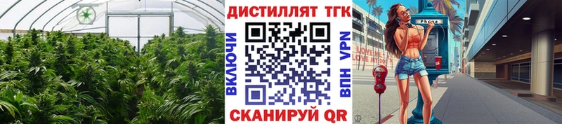 ТГК вейп  дарнет шоп  Армянск 